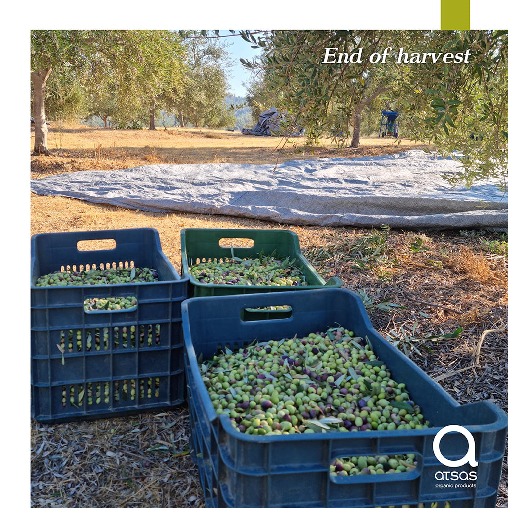 Atsas Silver Edition Extra Virgin Olive Oil