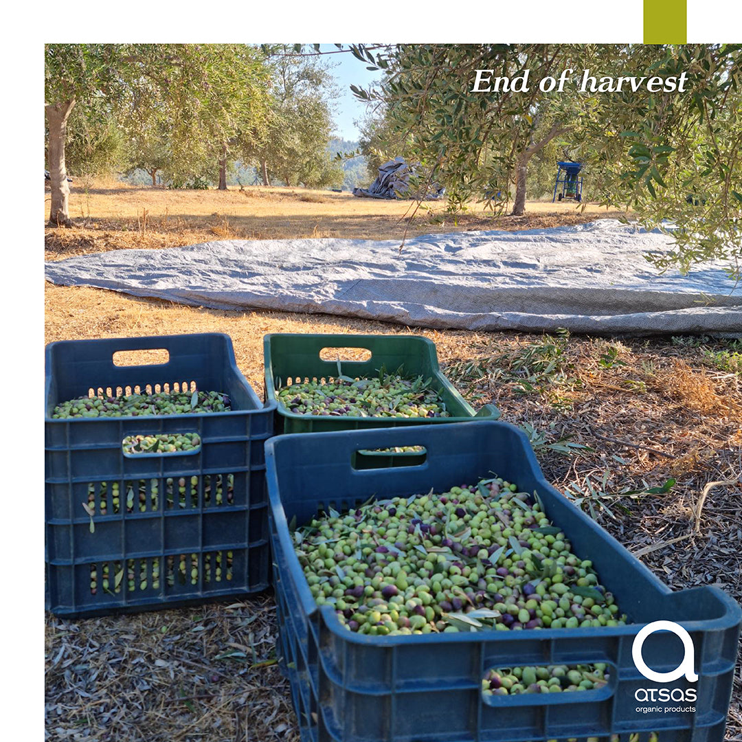 Atsas Silver Edition Extra Virgin Olive Oil